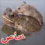 صور طريفة: ضفدع يساعد فار يغرق وينقذه بشجاعة ومروءة 