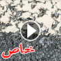 صور تحبس الانفاس: آلاف الطيور متجمعة بشكل مدهش بحثاً عن الطعام