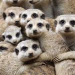 صورة 4 اقوال وطرائف