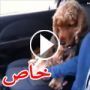 صور وفيديو طريف لكلب صغير لا يركب السيارة الا ممسكا بيد صاحبه