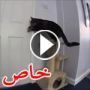 فيديو طريف يفضح قطة تفتح الباب لصديقها الكلب ويهربان للخارج