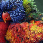 اقوال وطرائف الصورة الثالثة