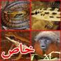 صور حيوانات الامازون: قرد يموء كقطة وسمكة نباتية وسحلية نارية