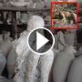 قرية الفاحشة الايطالية.. بومبي اهلك البركان اهلها وابقاهم فيها!!