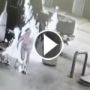 بالفيديو.. اشعال الرجل للسيجارة.. ادى لاشتعال النار بزوجته