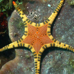 اقوال وطرائف صورة 2
