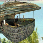 صورة 4 اقوال وطرائف