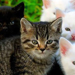 اقوال وطرائف صورة 2