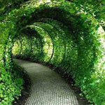 صورة 4 اقوال وطرائف