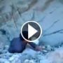 بالفيديو: شاب يسقط بشكل مؤلم اثناء تسلقه جبل صخري!