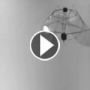 مهندسون يصممون روبوتا يحاكي حركات قنديل البحر