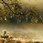 صورة 4 اقوال وطرائف