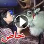 فيديو طريف: شاهد غزال يتسلل لمنزل الأسرة لمشاهدة التلفزيون!
