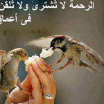 اقوال وطرائف الصورة الثالثة