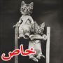 صور هزلية نادرة عمرها 100 عام لم ترها من قبل 