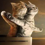 صورة 4 اقوال وطرائف