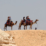 صورة 4 اقوال وطرائف