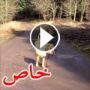 فيديو رائع لكلب صبور ينتظر صاحبه الطفل الذي تركه ليلهو بحفرة مياه