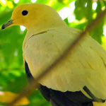 اقوال وطرائف رقم 1