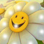 اقوال وطرائف صورة 2