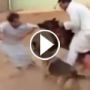 فيديو.. لا تقحموا الكلاب في مزاحكم فقد تكون النتائج وخيمة!!