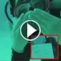 بالفيديو: عاشق محاط باسماك القرش يطلب يد حبيبته!