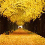 اقوال وطرائف صورة 2