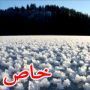 صور رائعة لحقل من زهور الجليد النادرة