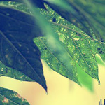 اقوال وطرائف صورة 2