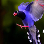 صورة 4 اقوال وطرائف
