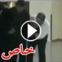 فيديو.. رقصة البطريق بلا بط ولا نط وضحك حتى نشاف الريق!