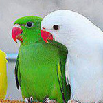 اقوال وطرائف رقم 1