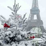 صورة 4 اقوال وطرائف