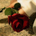 اقوال وطرائف صورة 2