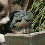 اقوال وطرائف صورة 2