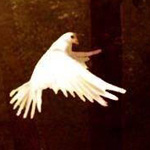 صورة 4 اقوال وطرائف