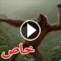 فيديو.. رجل الغاب يرقص فرحا بعد شرب عصير البرتقال