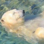 اقوال وطرائف صورة 2