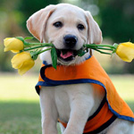 صورة 4 اقوال وطرائف