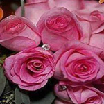 صورة 4 اقوال وطرائف