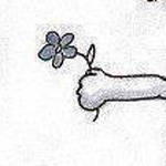 اقوال وطرائف صورة 2