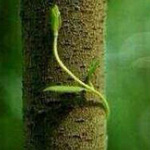 اقوال وطرائف رقم 1