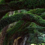 اقوال وطرائف رقم 1