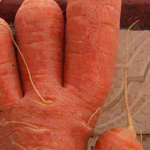 صورة 4 اقوال وطرائف