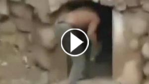 فيديو مدهش.. شاب يقتحم حظيرة النمور بشجاعة واصرار