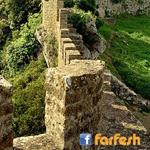 صورة 4 اقوال وطرائف