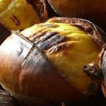 صورة 4 اقوال وطرائف