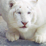 اقوال وطرائف صورة 2