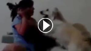 بالفيديو.. كلب حنون يمنع الأم من ضرب طفلها