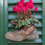 ��� ���� �� ��� �������